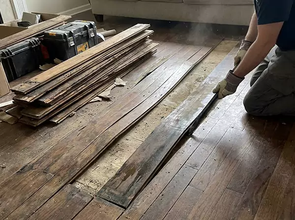 Water Damage Drying in Peachtree City