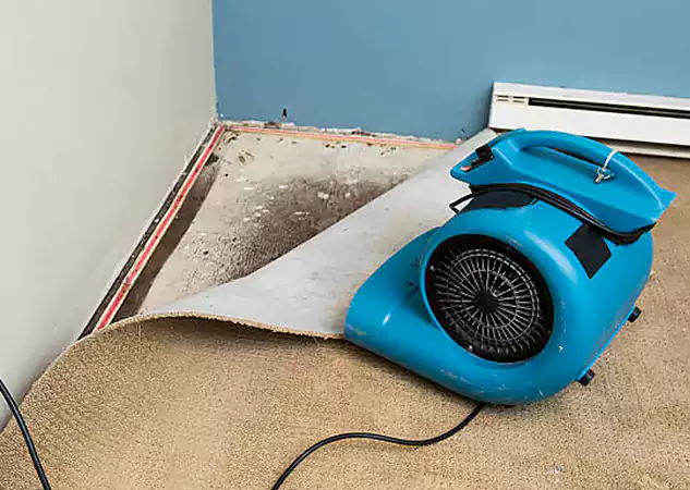 Your Water Damage Experts in Peachtree City, GA