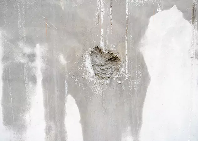 Your Mold Mitigation Solutions Partner in Peachtree City, GA