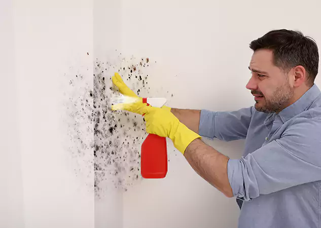 Your Water Mold Fire Restoration Partner in Peachtree City, GA