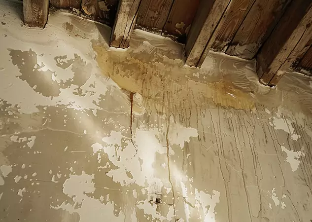Your Trusted Restoration Company in Peachtree City, GA