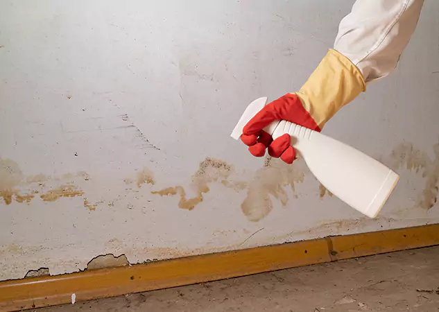 Your Water Restoration and Mold Remediation Specialists in Peachtree City, GA