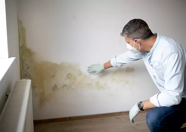 Reach Our Remediation Team Before Damage Grows in Peachtree City, GA!
