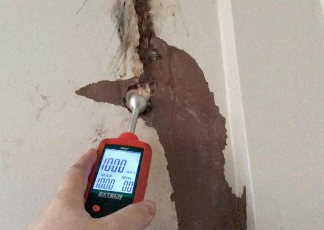 Your Water Damage Assessment Partner in Peachtree City, GA