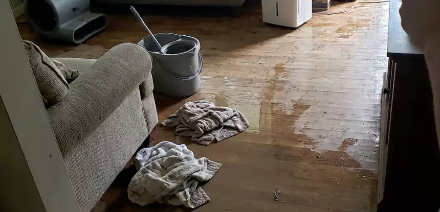 Professional Basement Water Remediation Services in Peachtree City, GA