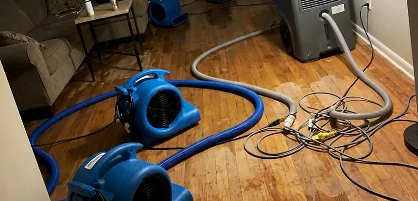 Basement Flood Restoration Services in Peachtree City