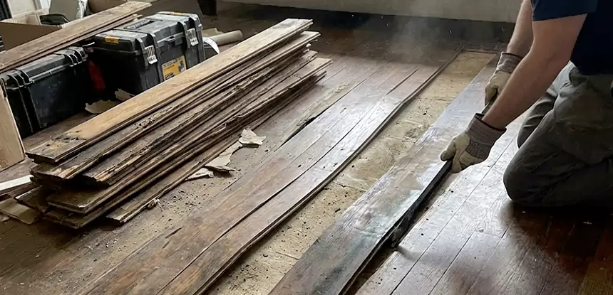 Wood Rot and Fungus Repair in Peachtree City