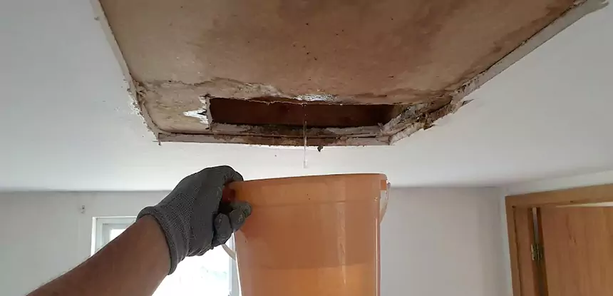 Ceiling Mold Repair Peachtree City 