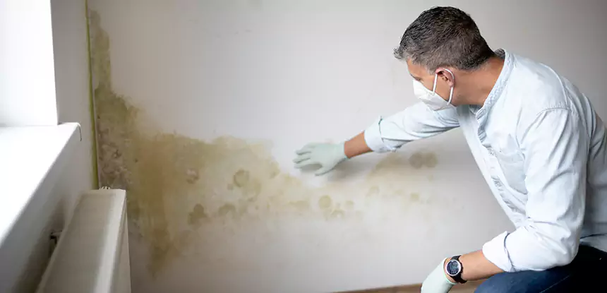 Mold and Water Damage Repair in Peachtree City