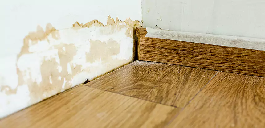 Professional Fix Water Damaged Wood Services in Peachtree City, GA