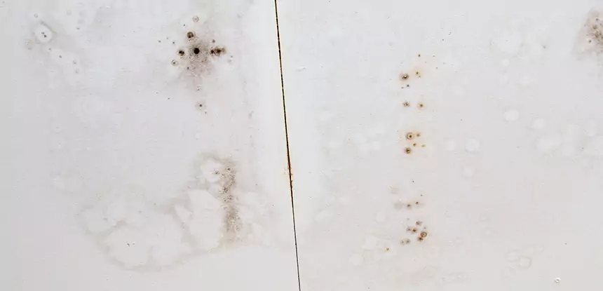 Professional Water Stain Repair Services in Peachtree City, GA