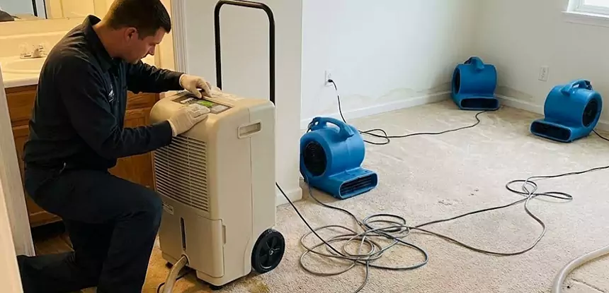 Professional Wet Carpet Removal Services in Peachtree City, GA