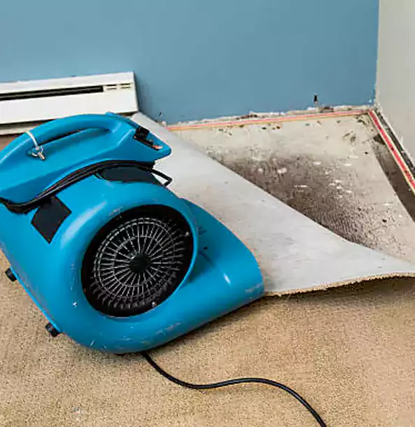Why Peachtree City Trusts Peachtree City Restoration Pro for Carpet Flood Recovery?