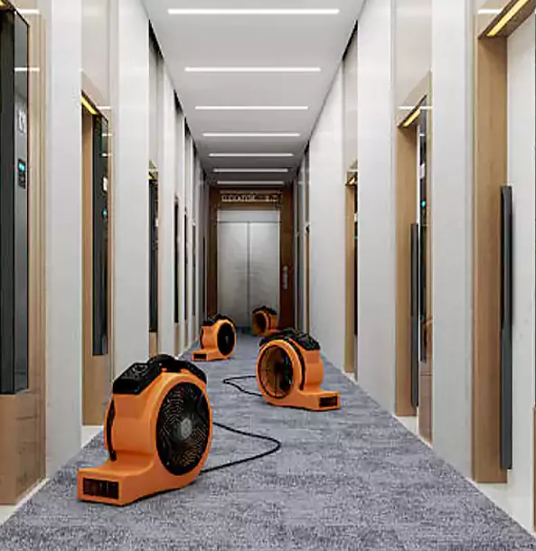 Why Peachtree City Trusts Peachtree City Restoration Pro?