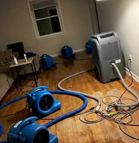 Why Peachtree City Calls Peachtree City Restoration Pro First for Emergency Restoration?
