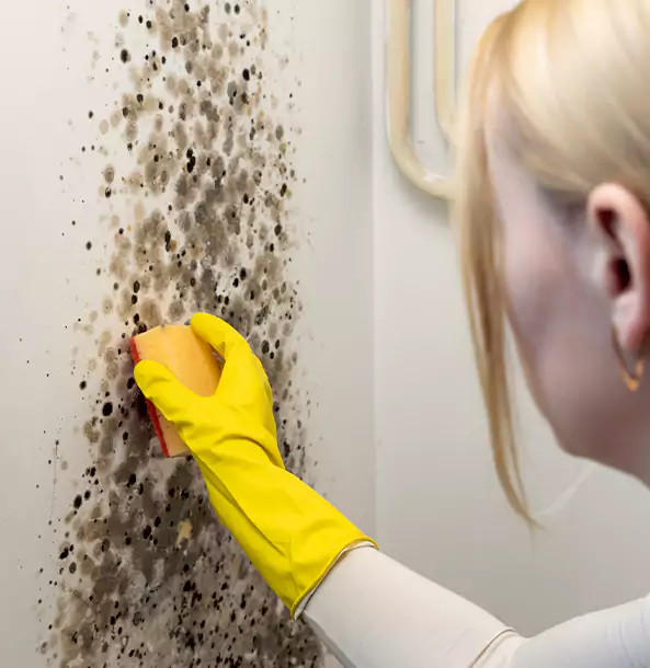 Why Peachtree City Restoration Pro Leads Mold Remediation in Peachtree City?