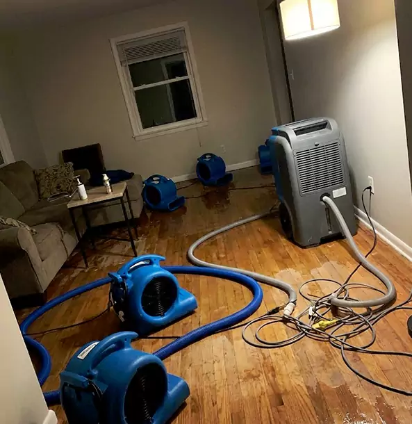 Why Peachtree City Property Owners Rely on Peachtree City Restoration Pro for Remediation?