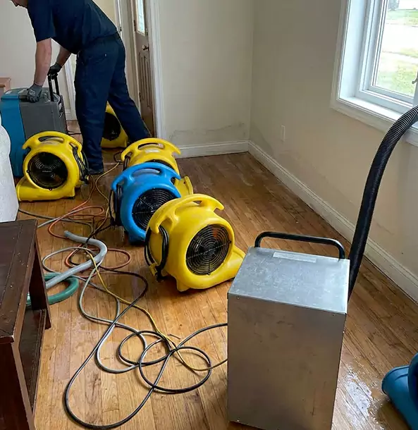 Why Peachtree City Property Owners Choose Peachtree City Restoration Pro for Remediation?