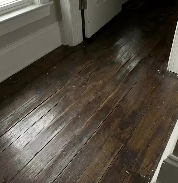 Why Peachtree City Homeowners Trust Peachtree City Restoration Pro to Fix Water Damaged Wood?