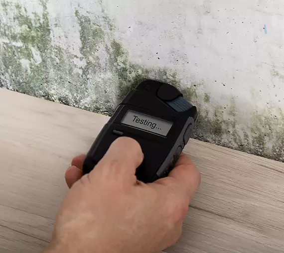 Mold Remediation Service Peachtree City